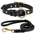 Ensemble collier et laisse en cuir pour chien - Black Set / L