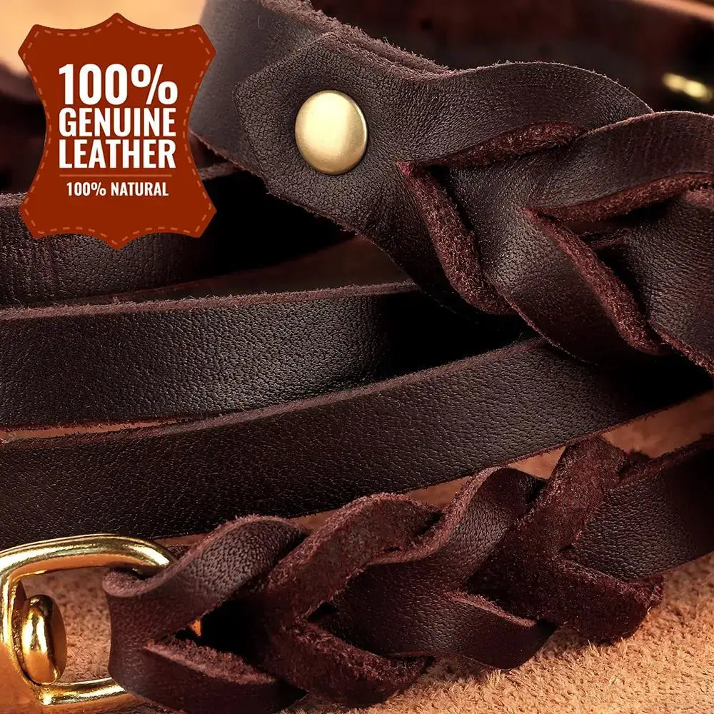 Ensemble collier et laisse en cuir pour chien