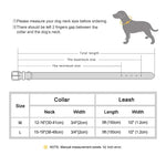 Ensemble collier et laisse en cuir pour chien