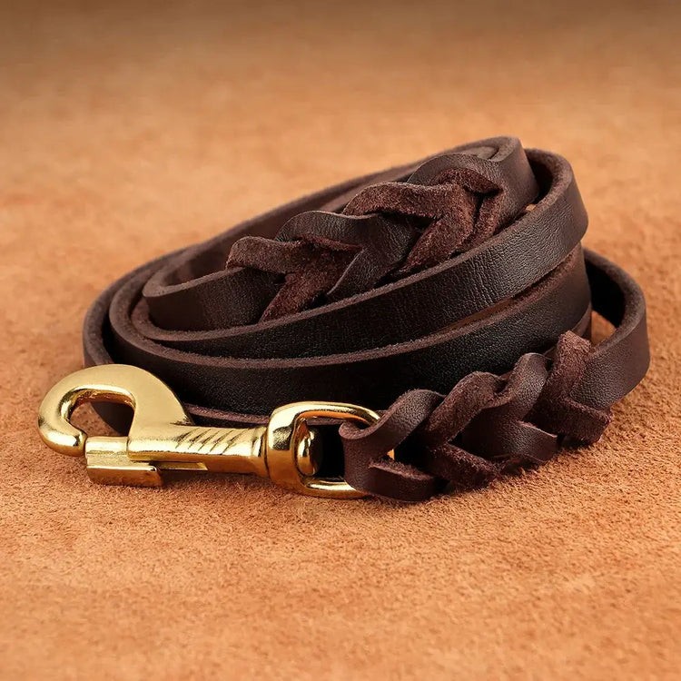 Ensemble collier et laisse en cuir pour chien