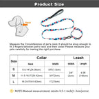 Ensemble collier et laisse en nylon pour chien