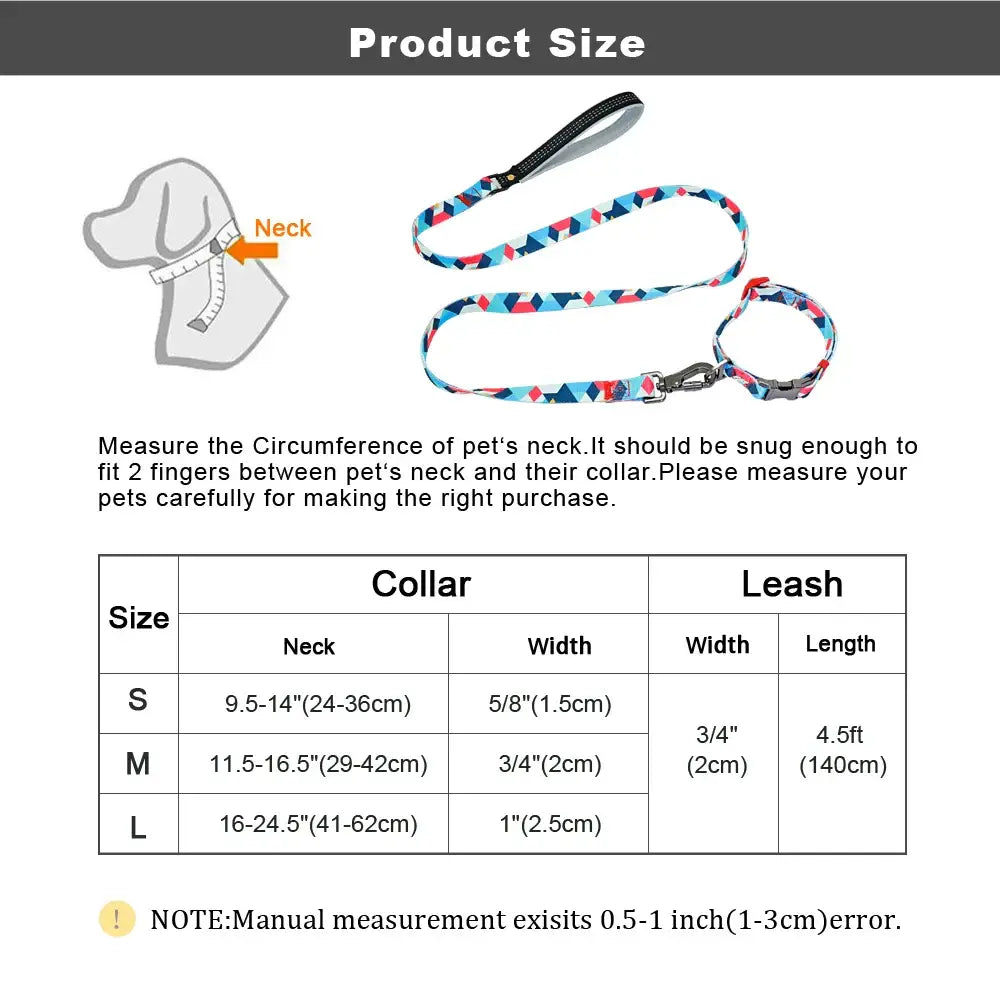 Ensemble collier et laisse en nylon pour chien