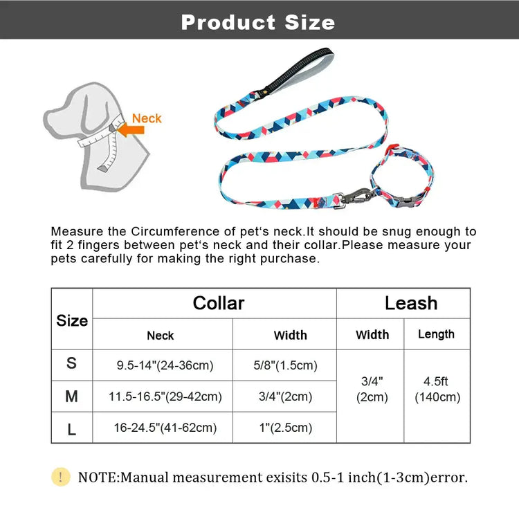 Ensemble collier et laisse en nylon pour chien