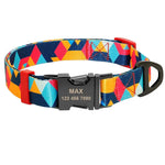 Ensemble collier et laisse en nylon pour chien - 112 orange / L