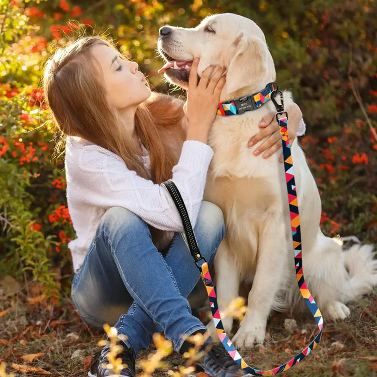 Ensemble collier et laisse en nylon pour chien