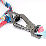 Ensemble collier et laisse en nylon pour chien