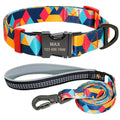 Ensemble collier et laisse en nylon pour chien - orange set / L