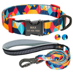 Ensemble collier et laisse en nylon pour chien
