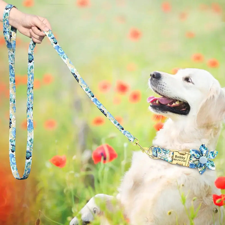Ensemble collier et laisse personnalisés pour chien