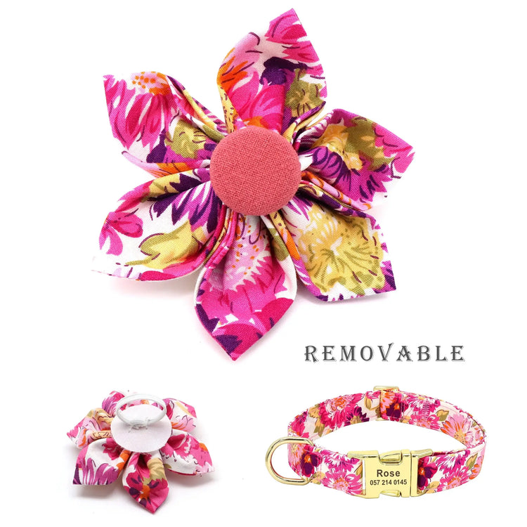 Ensemble collier et laisse personnalisés pour chien