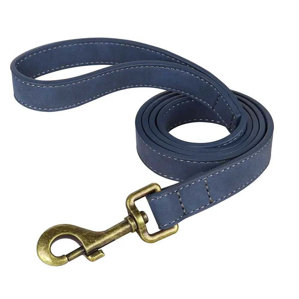 Ensemble collier et laisse personnalisés pour chien - Blue Leash / M