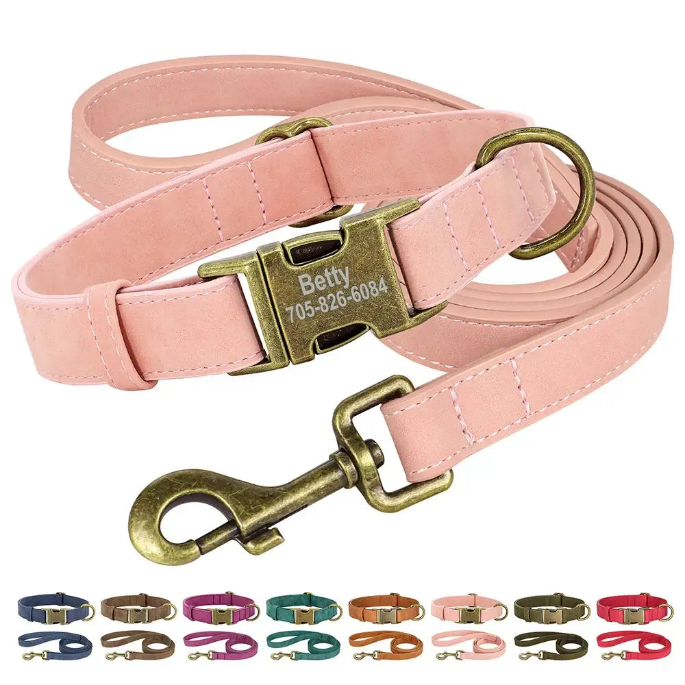 Ensemble collier et laisse personnalisés pour chien