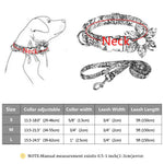 Ensemble collier et laisse personnalisés pour chien