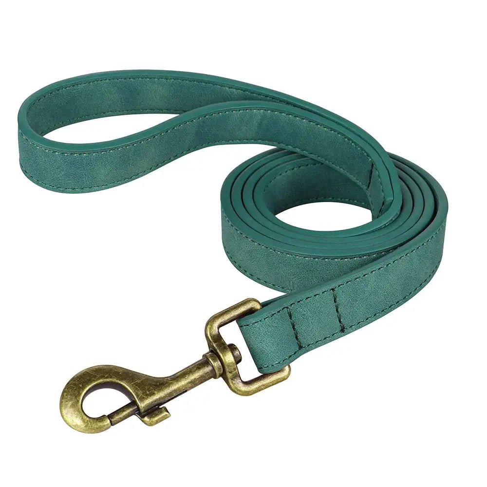 Ensemble collier et laisse personnalisés pour chien - Green Leash / M