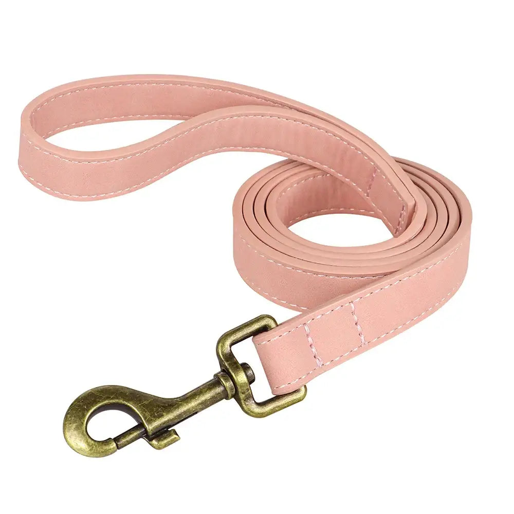 Ensemble collier et laisse personnalisés pour chien - Pink Leash / M
