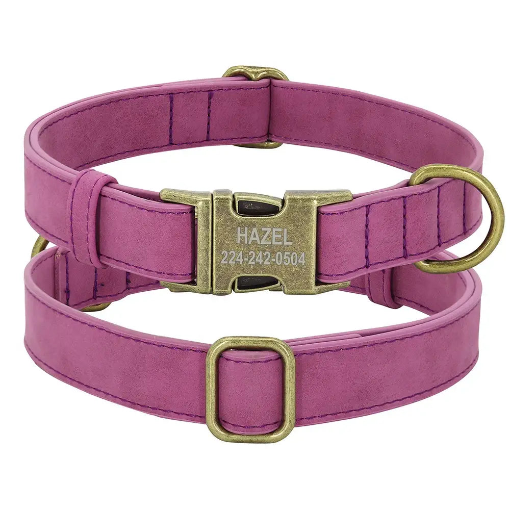Ensemble collier et laisse personnalisés pour chien - Purple Collar / XS（old）