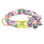 Ensemble collier et laisse personnalisés pour chien - Purple collar / M