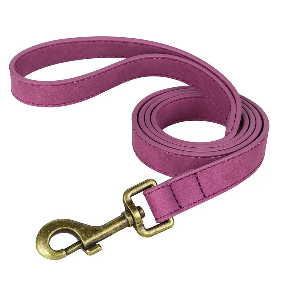 Ensemble collier et laisse personnalisés pour chien - Purple Leash / L