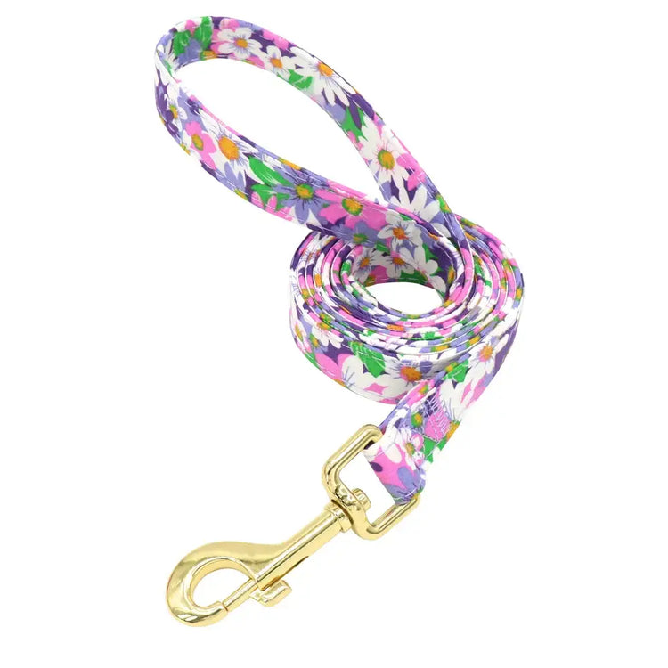 Ensemble collier et laisse personnalisés pour chien - Purple leash / S