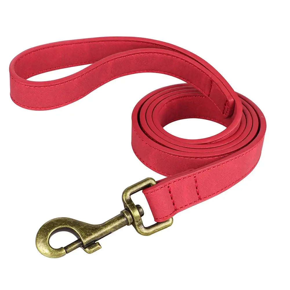 Ensemble collier et laisse personnalisés pour chien - Red Leash / XS（old）