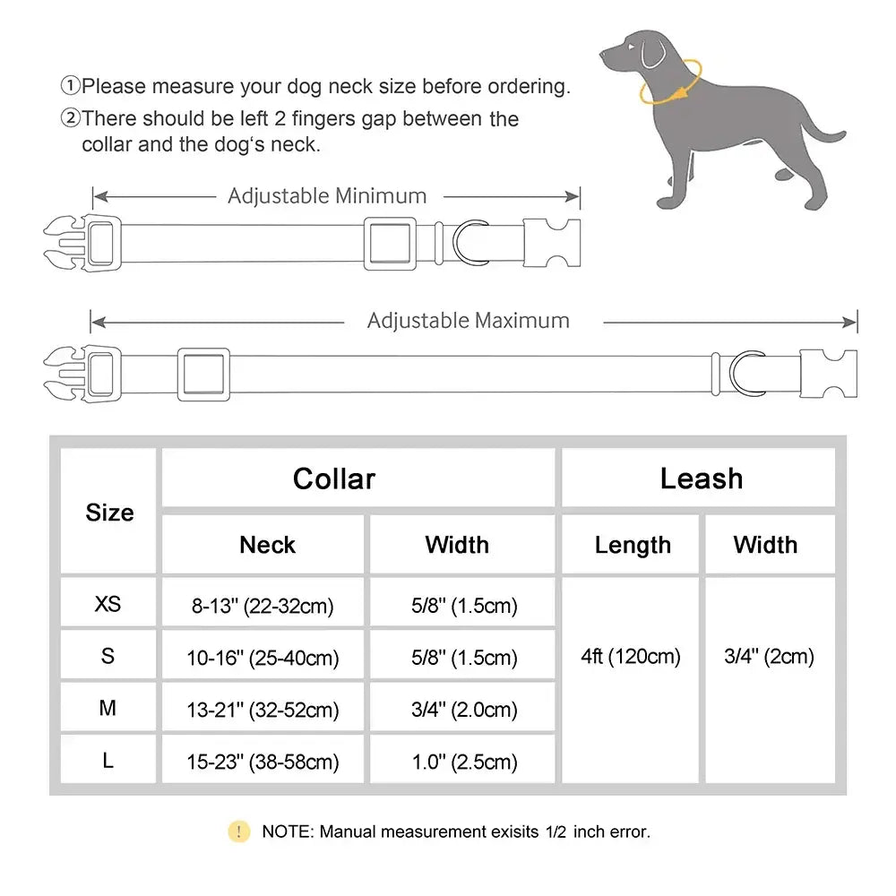Ensemble collier et laisse personnalisés pour chien