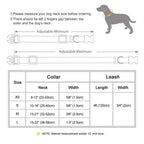 Ensemble collier et laisse personnalisés pour chien