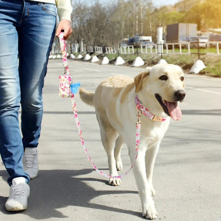 Ensemble collier et laisse pour chien à fleurs