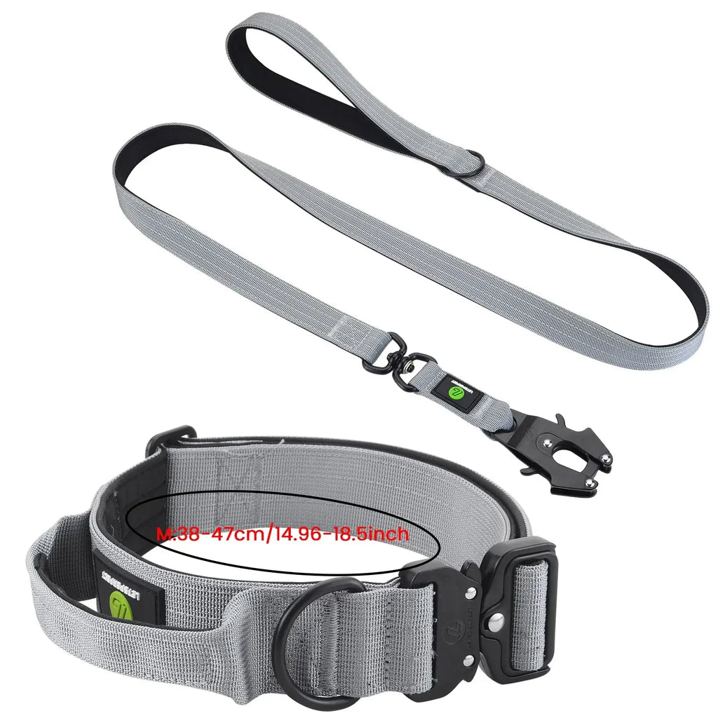 Ensemble collier et laisse tactiques pour chien - Grey Long-M