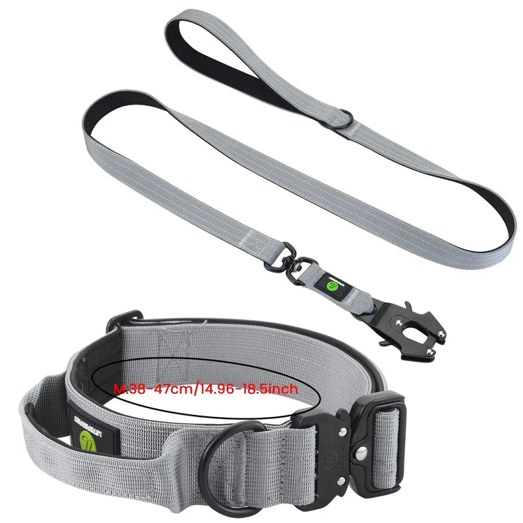 Ensemble collier et laisse tactiques pour chien - Grey Long-M