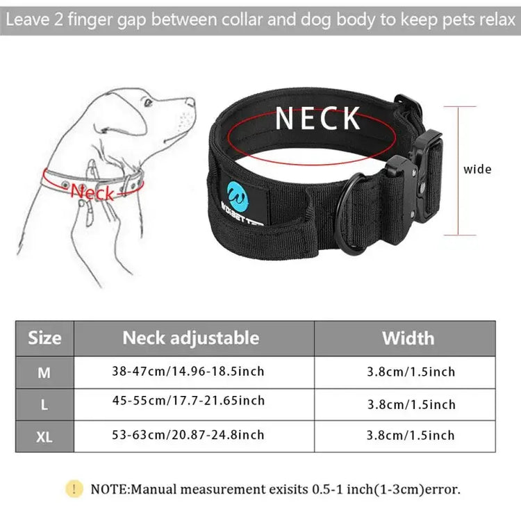 Ensemble collier et laisse tactiques pour chien