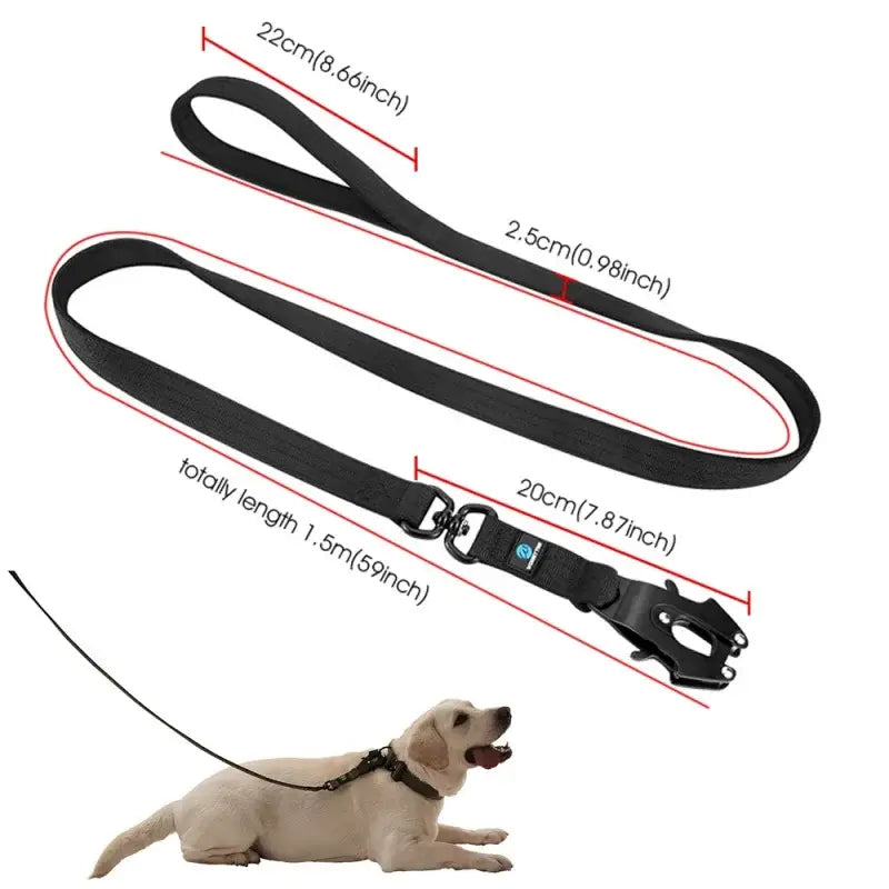 Ensemble collier et laisse tactiques pour chien
