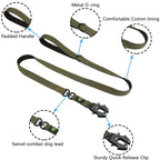Ensemble collier et laisse tactiques pour chien