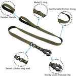 Ensemble collier et laisse tactiques pour chien
