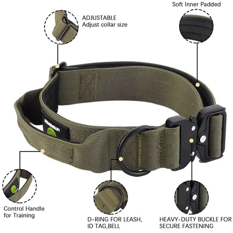 Ensemble collier et laisse tactiques pour chien