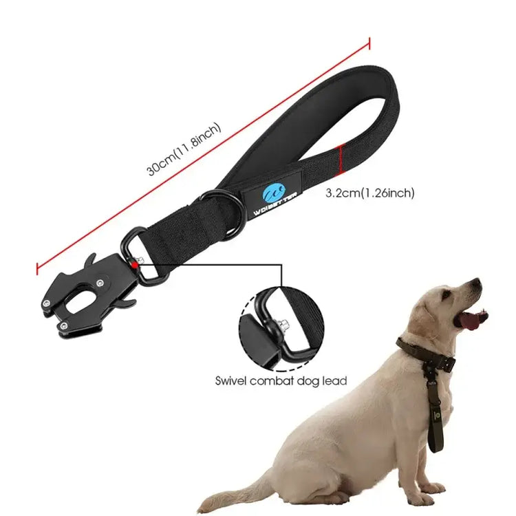 Ensemble collier et laisse tactiques pour chien