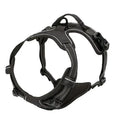 Ensemble collier harnais et laisse en cuir pour chien - Black / S / China Mainland