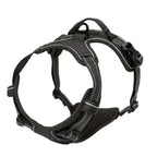 Ensemble collier harnais et laisse en cuir pour chien - Black / S / China Mainland