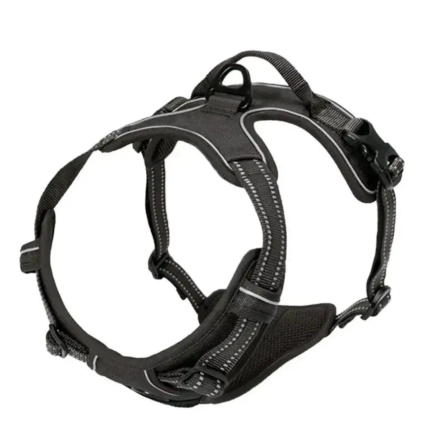 Ensemble collier harnais et laisse en cuir pour chien - Black / S / China Mainland