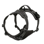 Ensemble collier harnais et laisse en cuir pour chien - Black / S / China Mainland