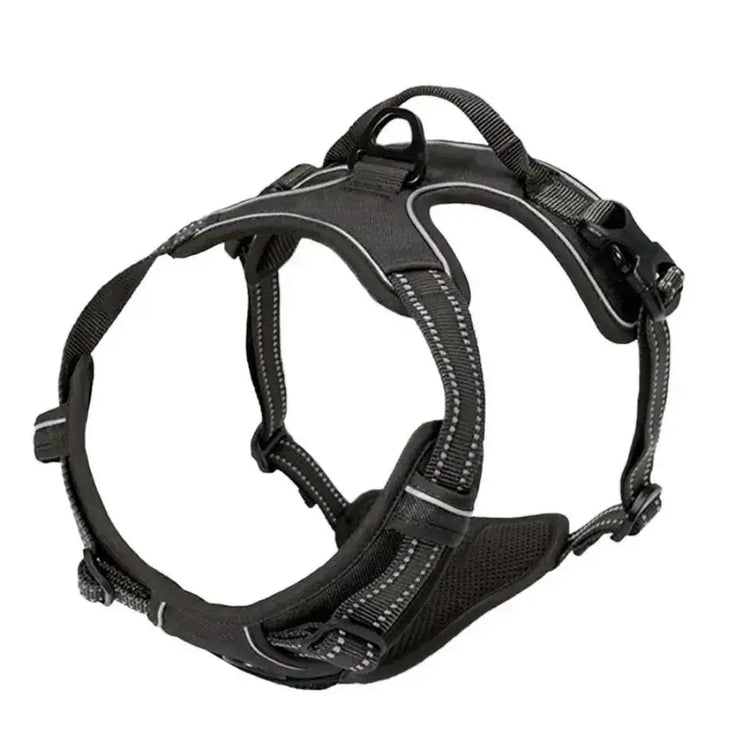 Ensemble collier harnais et laisse en cuir pour chien - Black / S / China Mainland