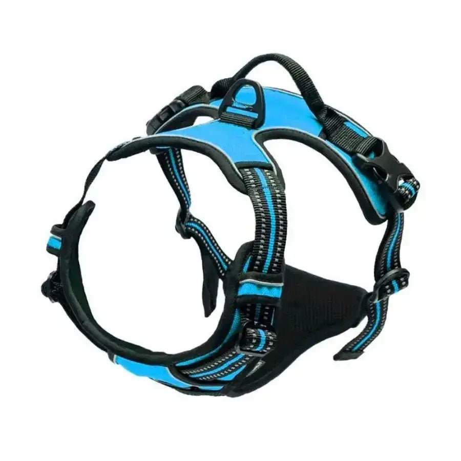 Ensemble collier harnais et laisse en cuir pour chien - Blue / S / China Mainland