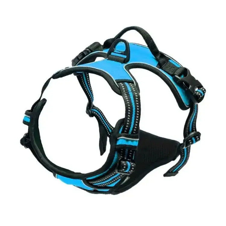 Ensemble collier harnais et laisse en cuir pour chien - Blue / S / China Mainland