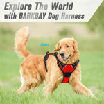 Ensemble collier harnais et laisse en cuir pour chien