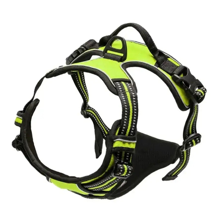 Ensemble collier harnais et laisse en cuir pour chien - Green / S / China Mainland