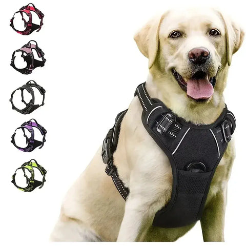 Ensemble collier harnais et laisse en cuir pour chien