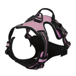 Ensemble collier harnais et laisse en cuir pour chien - Pink / S / China Mainland