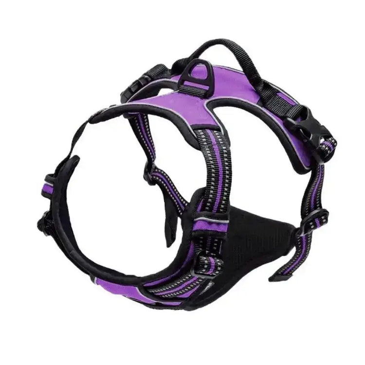 Ensemble collier harnais et laisse en cuir pour chien - Purple / S / China Mainland