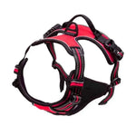 Ensemble collier harnais et laisse en cuir pour chien - Red / S / China Mainland