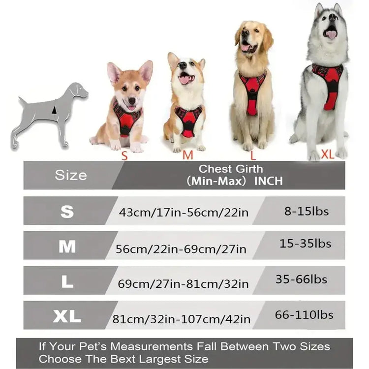 Ensemble collier harnais et laisse en cuir pour chien