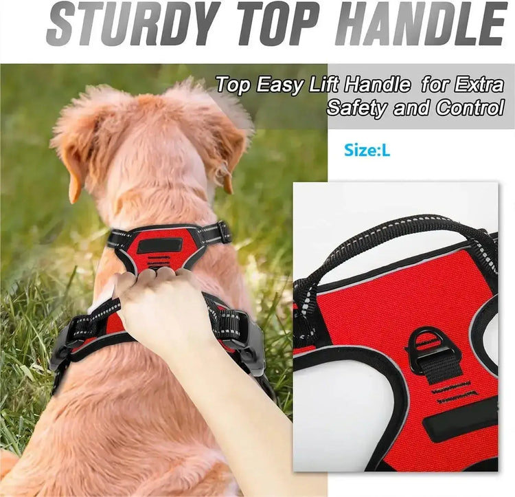 Ensemble collier harnais et laisse en cuir pour chien